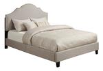 All-N-One Fully Upholstered Nailhead Queen Bed (Taupe)