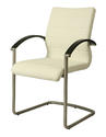 Akasha Side Chair (Stainless Steel, Wenge Veneer & Ivory Finish)