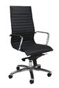 Kaffina Office Chair (Chrome, Aluminum & Black Finish)