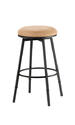 Sanders Adjustable Stool (Matte Black Finish)